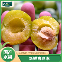 [苏鲜生]四川青脆李 净重5斤装 大果 单果25g+ 新鲜水果当季酸脆珍珠李孕妇整箱
