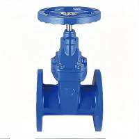 力盾 法兰暗杆弹性座封闸阀 6540 DN100 台