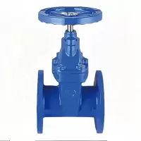 力盾 法兰暗杆弹性座封闸阀 6540 DN250 台