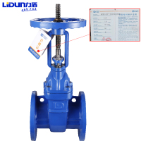 力盾 法兰明杆闸阀 6562 DN100 台