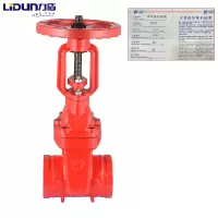 力盾 弹性座封闸阀 Z81X-16Q DN100 台