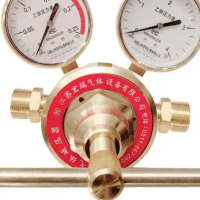 小窝厘 江苏宏瑞乙炔减压阀EQJ-224