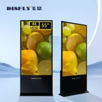 飞显 55英寸立式广告机显示屏落地式高清液晶显示屏 FX-LHD55LND(单位:台)