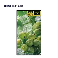 飞显 55英寸壁挂广告机显示屏高清液晶显示屏 FX-LHD55BND(单位:台)