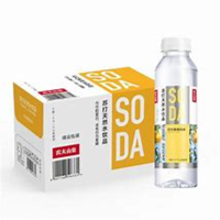 苏打水 瓶