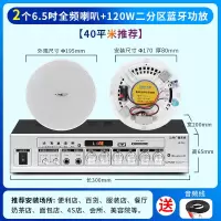 先科(SAST)全频吸顶音响 6.5 一拖二无线蓝牙吸顶音响吊顶天花音箱嵌入式喇叭店铺专用餐厅商用
