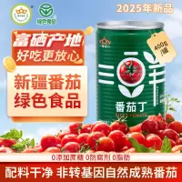 冠农股份(GUAN NONG SHARE)新疆 番茄丁块400g*12罐/箱自然成熟新鲜番茄西红柿丁番茄罐头[整箱]