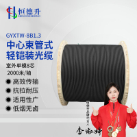 恒德升 HDS-A497S-GYXTW-8B1.3-2KM中心束管式轻铠装光缆 室外管道光纤线单模8芯 7mm外径黑色2000米
