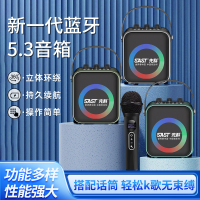 先科(SAST)户外手提音响T93 灰色 单话筒+32G优盘 广场舞音响手提便携式无线蓝牙音箱大音量户外骑行K歌