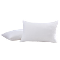 梦洁家纺 1010389026 臻柔享梦对枕 48*74cm*2 (单位:对)白色(起订量30)