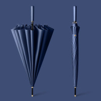 48骨自动长柄雨伞