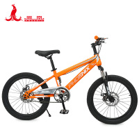 凤凰(PHOENIX) 20寸学生自行车-贝塔TT-20 橙色