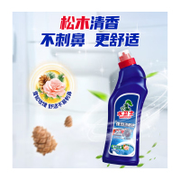 水卫士洁厕液5瓶/组