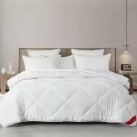 梦洁家纺 抗菌七孔大豆被200*230cm 1000g