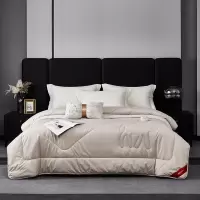 梦洁家纺 沁心暖意驼毛厚被200*230cm 2300g