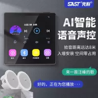 先科(SAST)智能AI吸顶音响天花吊顶音箱家庭影院背景音乐 标配 (内置精灵)智能语音主机