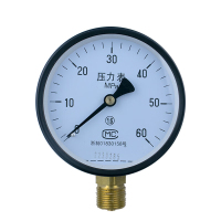 双针耐震压力表_YLB_60_0-60MPa_KJ10阴接头_2.5_Ⅰ_304