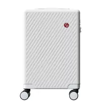 费雪(Fisher-Price)奈斯旅行箱大容量拉杆旅行密码皮箱子学生商务出差通用 FP-LX002