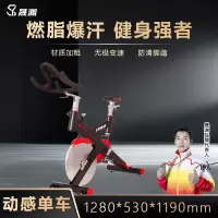 晟渊 商用专业动感单车健身房器材家用室内脚踏车 YP020T