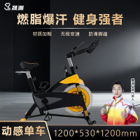 晟渊 动感单车家用健身自行车磁控专业减肥运动器材 YP1162