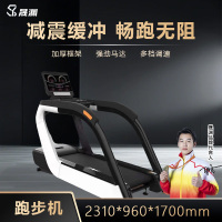 晟渊 跑步机家庭用智能降噪可折叠爬坡走步机宽大跑台 YT8001