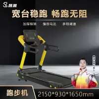 晟渊 跑步机家用款电动走步机智能折叠多功能健身器材 YT8005