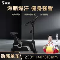 晟渊 立式健身车商用智能电磁控动感单车 YT-8408