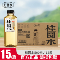 好望水桂圆水500ml*15瓶0脂0能量0添加糖健康养生植物饮料