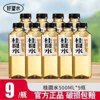 好望水桂圆水500ml*12瓶0脂0能量0添加糖健康养生植物饮料