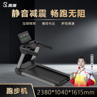 晟渊 家用跑步机高端智能健身房爬坡器材折叠走步机 YTA162H
