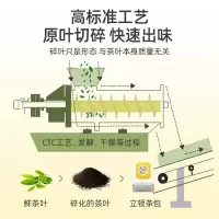 立顿 红茶叶奶茶原料泡茶包2g*100包