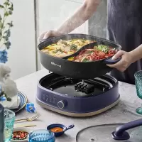 小熊(Bear)鸳鸯锅 电火锅 多用途锅 电煮锅 多功能锅配件单锅锅体锅盖旋钮DHG-C60D1 新款旋钮DH