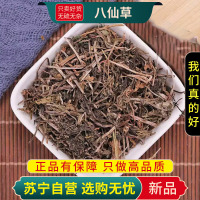 八仙草100克甄选八仙草正品干货猪秧秧草纯新货猪殃殃猪秧秧锯子草