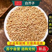 正品白芥子100克干货官方店白介子辣菜子芥菜子炒白芥籽泡茶泡水新货