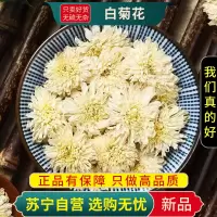 白菊花100克干货新货白菊花茶贡菊花白菊花决明子干花玫瑰贡菊官方店
