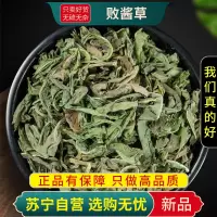 败酱草100克干货新货官方店马草苦菜黄花山白菜不败酱草白花败酱草