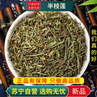 甄选新货半枝莲100克干货官方店半枝连韩信草正品另售白花蛇舌草铁树叶