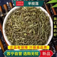 甄选新货半枝莲100克干货官方店半枝连韩信草正品另售白花蛇舌草铁树叶