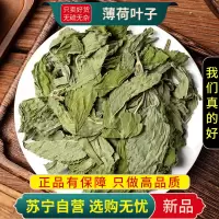 薄荷叶子100克干货正品官方店新货薄荷夜息香泡水喝养生茶甄选薄荷叶子