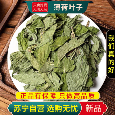 薄荷叶子100克干货正品官方店新货薄荷夜息香泡水喝养生茶甄选薄荷叶子
