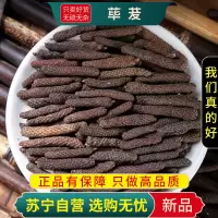 荜拨100克正品干货官方店新货毕勃荜茇荜菝荜拨胡椒科胡椒属蛤蒌香料