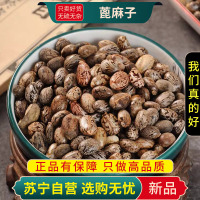 蓖麻子100克干货新货正品官方店泡水泡茶蓖麻子生蓖麻子蓖麻子干货麻籽