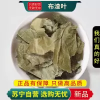 布渣叶100克干货新货正品布渣叶草正品破布叶麻布叶烂布渣薢宝叶凉茶