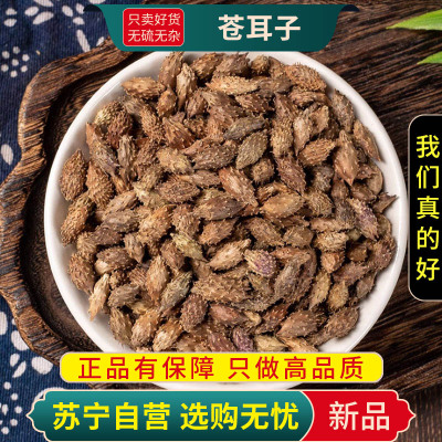 苍耳子100克干货新货正品苍耳去刺苍耳子苍棵子苍郎种苍耳子另售辛夷花