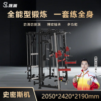 晟渊 史密斯综合训练器商用健身房训练器材 YZ790
