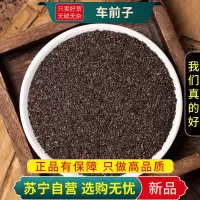 车前子100克干货正品新货车前实凤眼前仁耳朵穗子车前子壳正品车前子籽