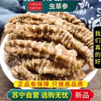 虫草参100克干货正品新货地参地虫草煮水泡茶竹节参泽兰根地龙菜煲汤料