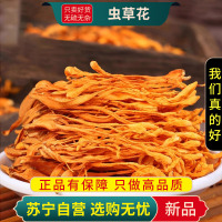 虫草花100克干货正品新货不老草蛹虫草北虫草煮水泡茶火锅煲汤食材无硫