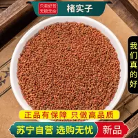 楮实子100克干货正品彀木子纱纸树构树子煮水泡茶壳树鹿仔树楮实子