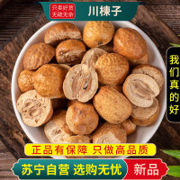 川楝子100克干货正品新货川楝楝树子实楝实煮水苦楝子石茱萸金铃子仁枣